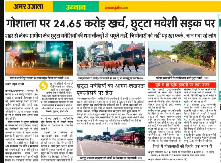 Unnao News: छुट्टा मवेशियों को गोशालाओं में संरक्षित कराने के निर्देश