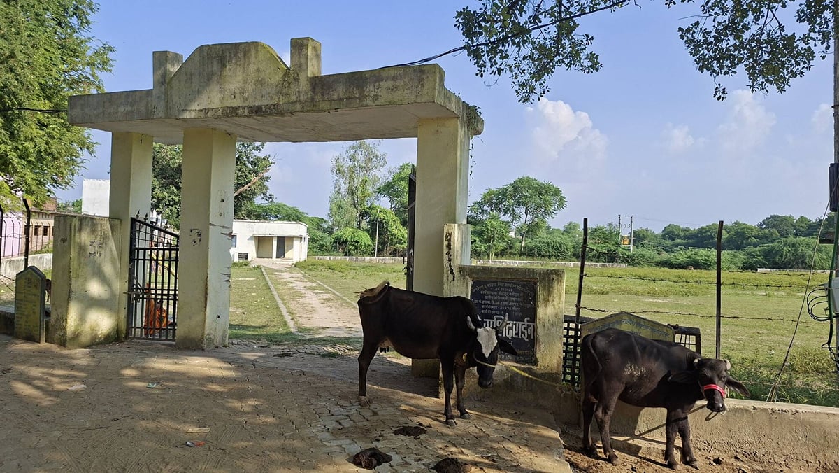 Fatehpur News: खेल मैदान में खिलाड़ियों की जगह मवेशियों का डेरा