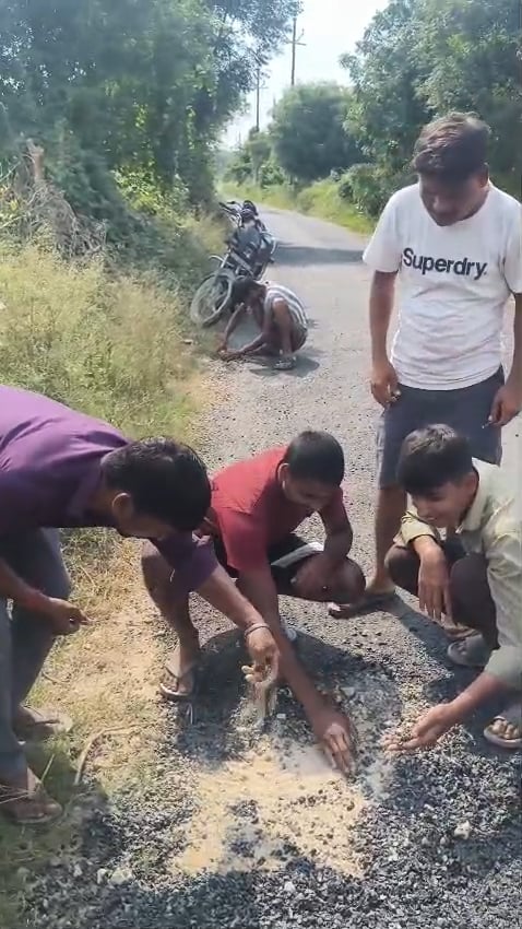 Agra News: बनते ही उखड़ने लगी सड़क, ग्रामीणों ने हाथों से हटाई गिट्टी