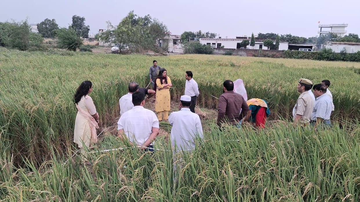 The District Magistrate inspected the crop cutting of paddy.