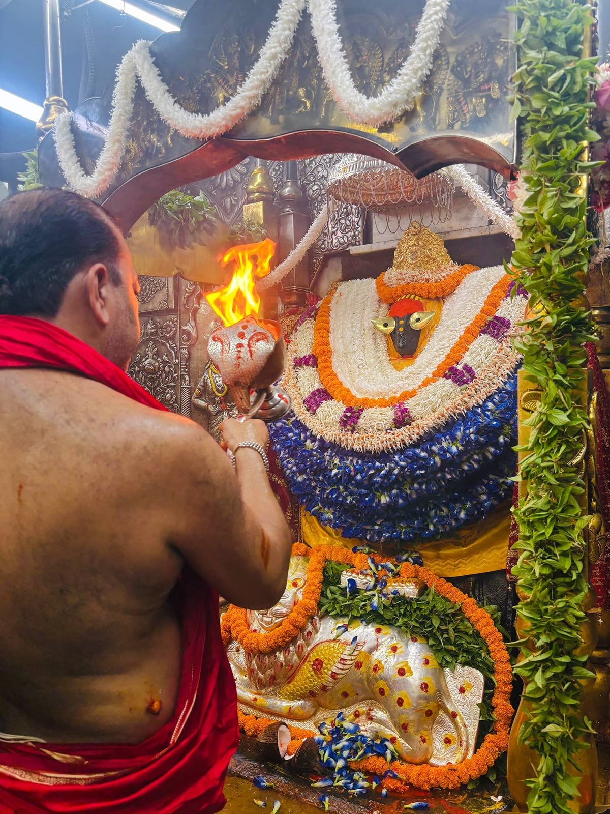 Mirzapur News: विंध्य दरबार में कुष्मांडा के स्वरूप की पूजा, हवन कुंड में दी आहूति