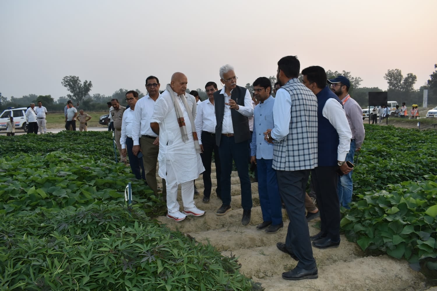 Agriculture Minister inspected the International Potato Research facility.