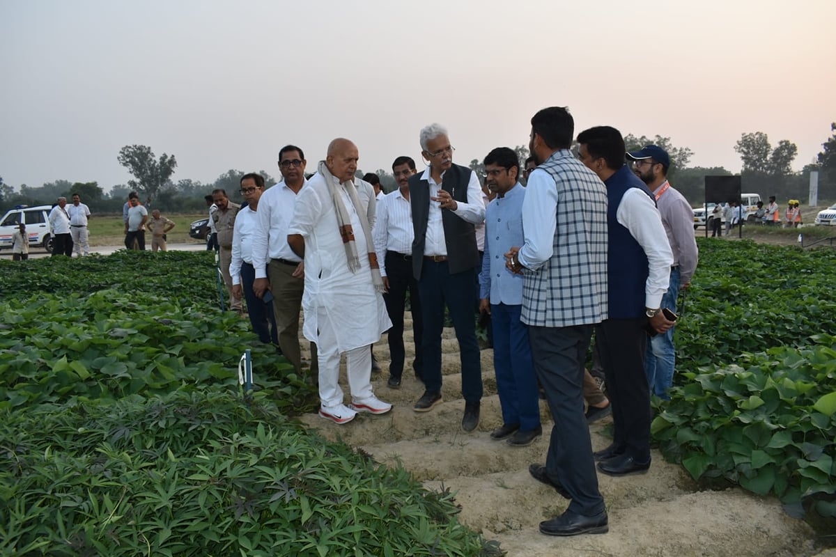 Agra News: कृषि मंत्री ने किया अंतरराष्ट्रीय आलू अनुसंधान का निरीक्षण