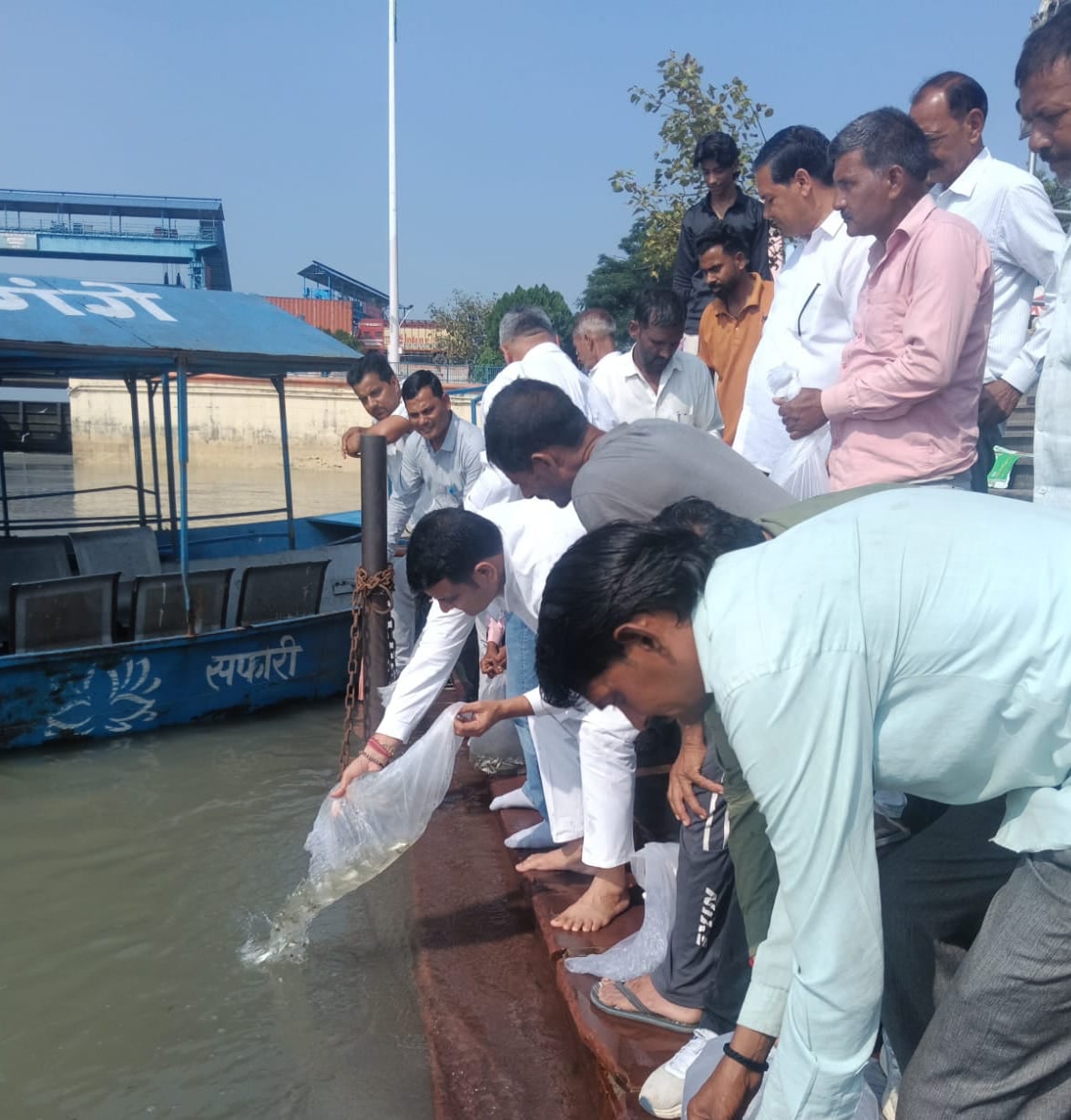 Bijnor News: गंगा में छोड़ी गईं एक लाख मछलियों की अंगुलिकाएं