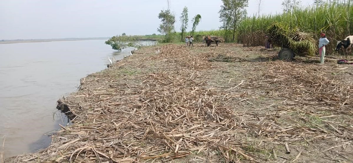 Bulandshahar News: गंगा में कटान जारी, 50 बीघा से अधिक ईख की फसल जलमग्न, किसान चिंतित