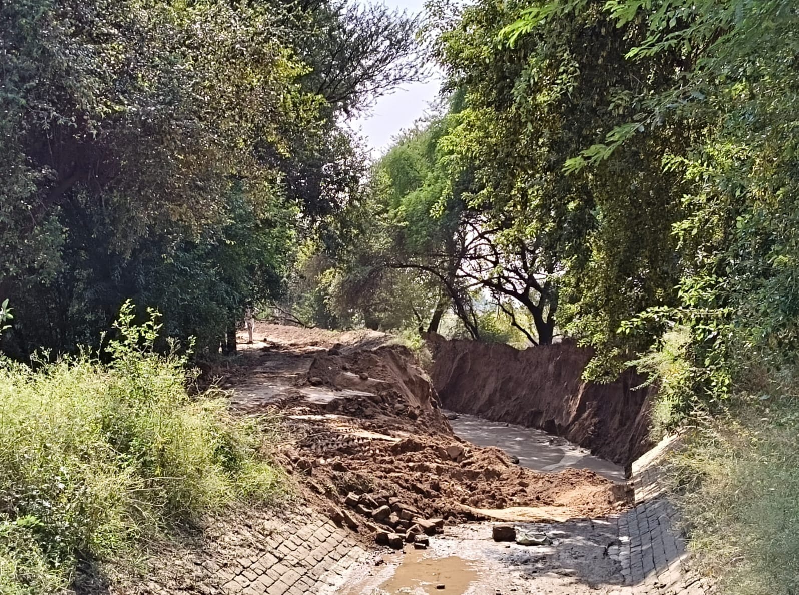 डबवाली टूटी नहर