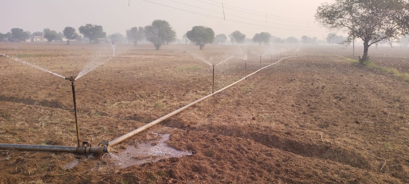 Weather conditions are favorable following the rain; farmers can begin mustard sowing.
