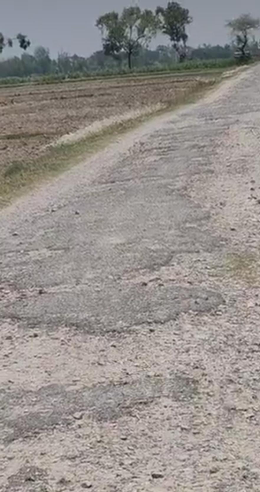 Maharajganj News: लेहड़ा मंदिर की राह में गड्ढे हजार, लाखों श्रद्धालु हिचकोले खाने के लिए मजबूर
