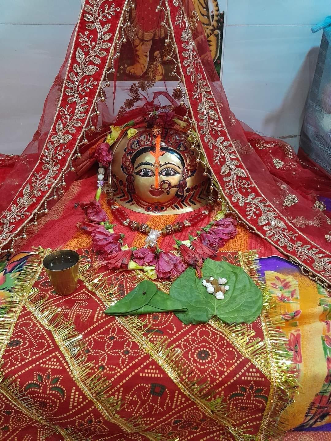 Garhdevi Mata resides in the Neem tree, devotees flock to see her.