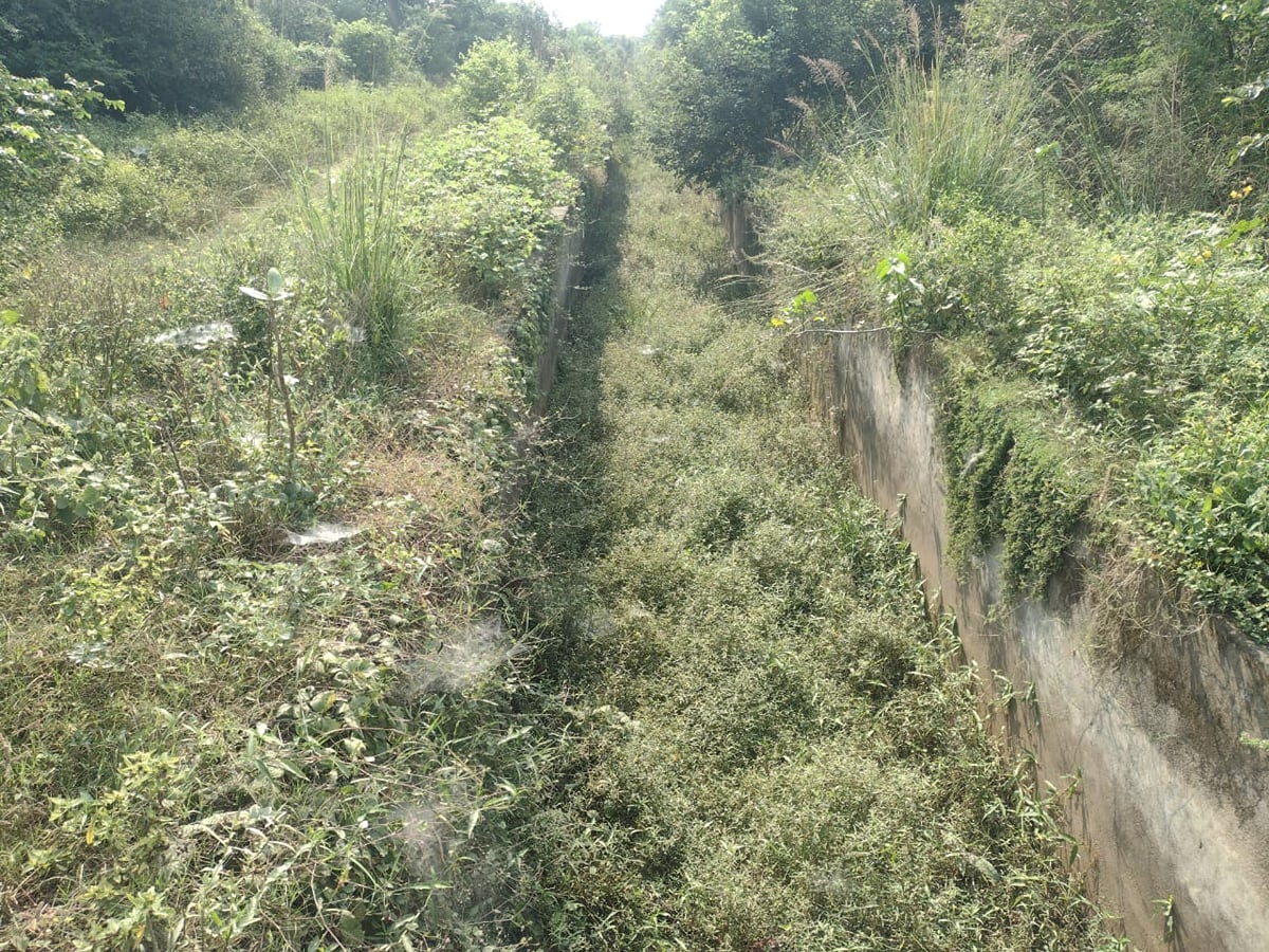 Etawah News: बिधीपुर रजवाह की सफाई नहीं, किसान सिंचाई के लिए परेशान
