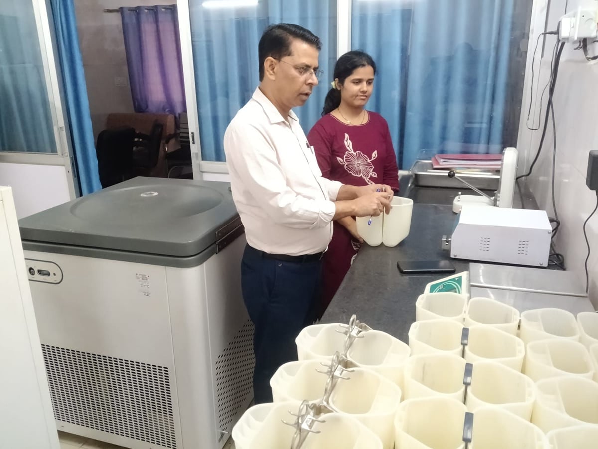 Hardoi News: वायरल बुखार में भी घट रहीं प्लेटलेट्स, 107 दिन में 299 यूनिट की खपत
