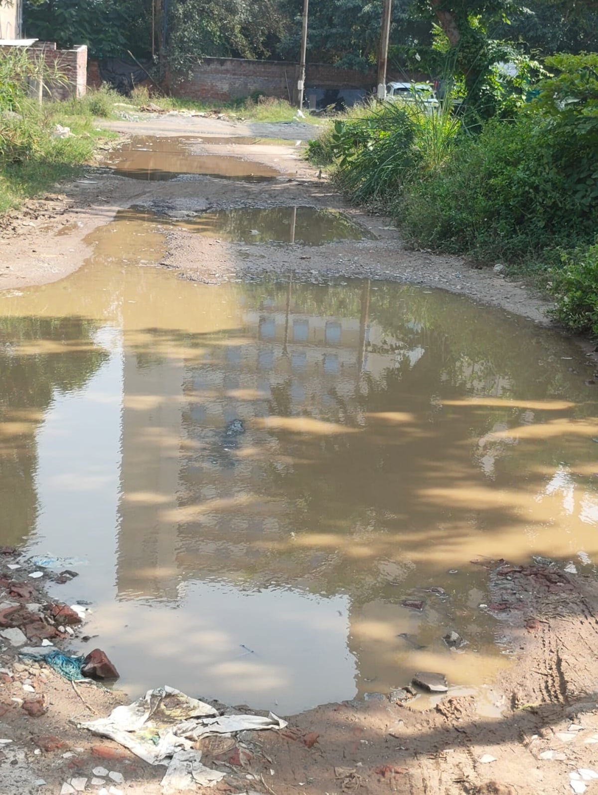 Noida News: गंदगी से निवासी परेशान, कई लोग बुखार से पीड़ित