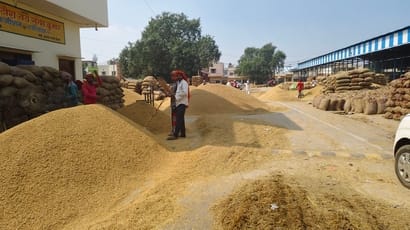 कैथल की नई मंडी में सड़क पर डाला गया धान। संवाद