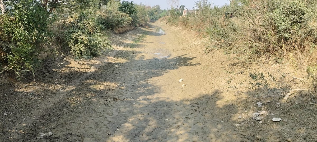 Siddharthnagar News: चार करोड़ मंजूर, टेंडर भी पूरा, नहर की लाइनिंग में अटका निर्माण