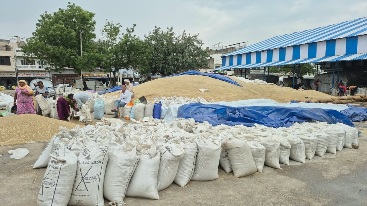 नई अनाज मंडी में बाजरा की खरीद के बाद कट्टों में की गई भराई।