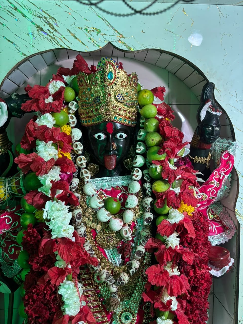 Jhansi News: जय मां महाकाली, जय मां जगदंबे के गूंजे जयकारे
