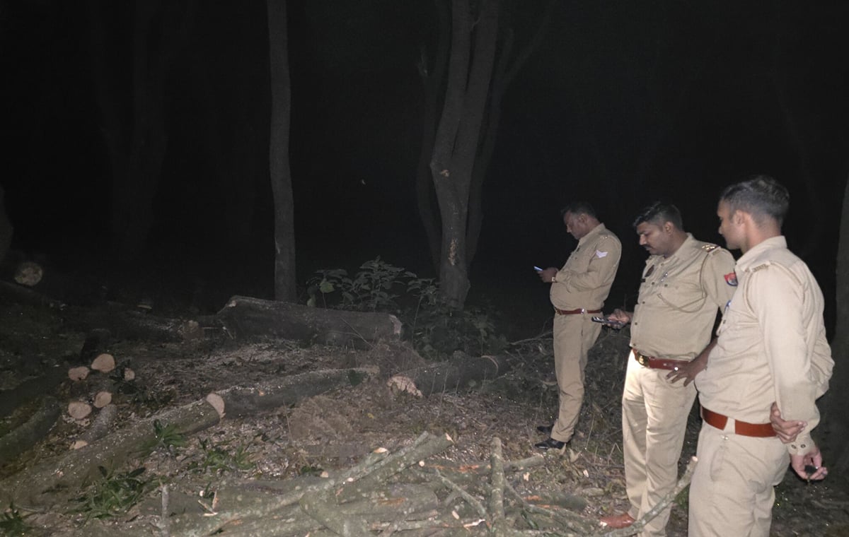 Unnao News: पुलिस को देख आम का पेड़ काट रहे लोग भागे