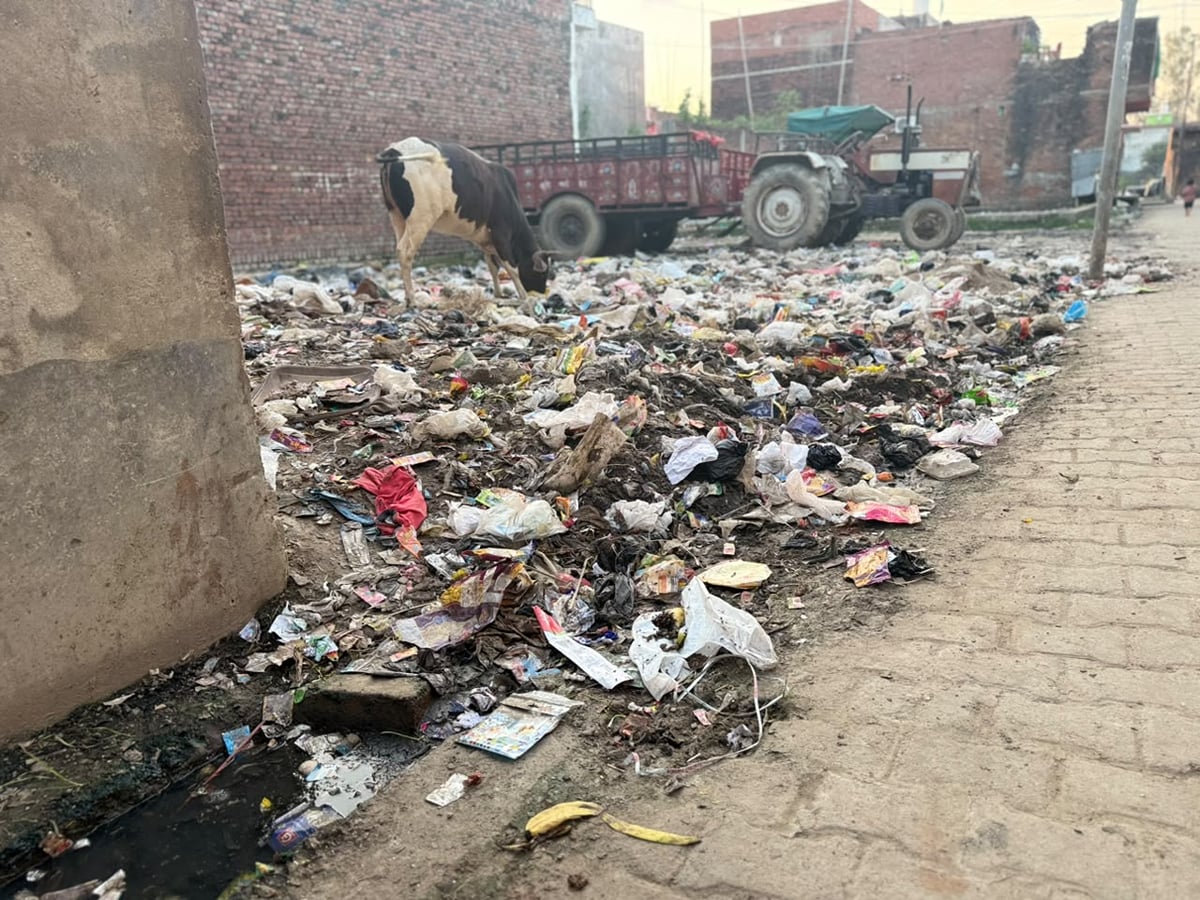 Lakhimpur Kheri News: 15 दिन से कूड़े की कैद में शहर