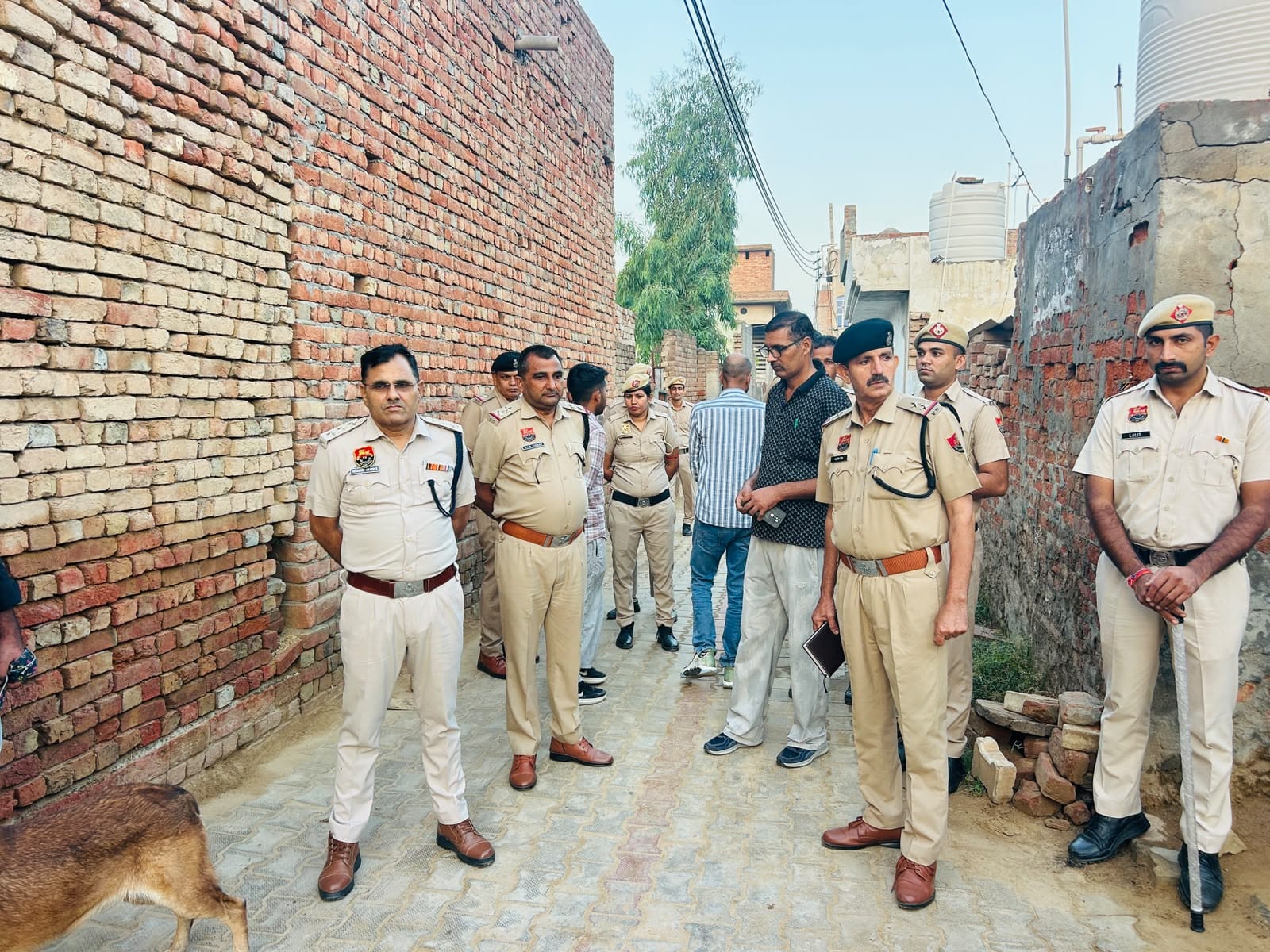 सिरसा। दबिश के दौरान रानियां में मौजूद पुलिस टीम। प्रवक्ता