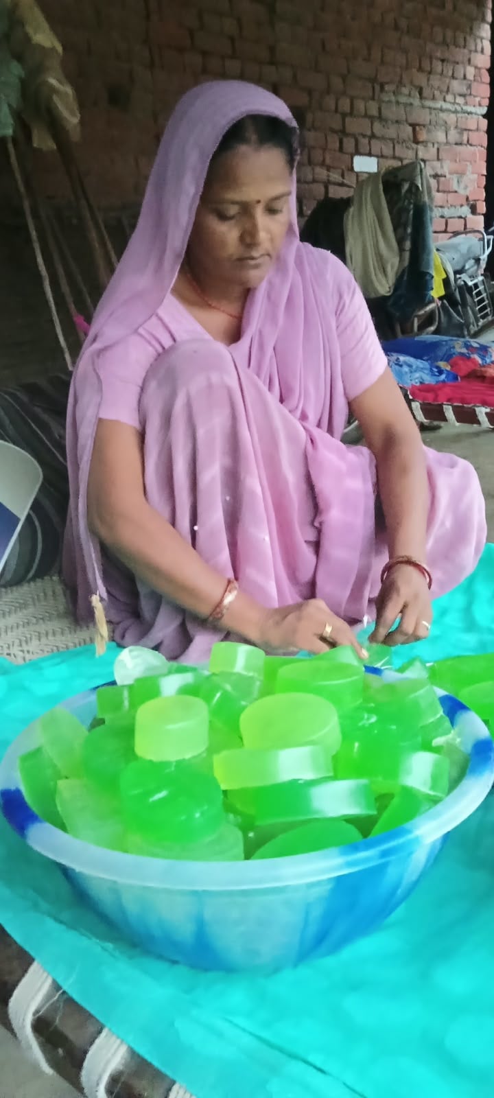 Sant Kabir Nagar News: महिलाओं के लिए प्रेरणा बनीं विंद्रावती देवी