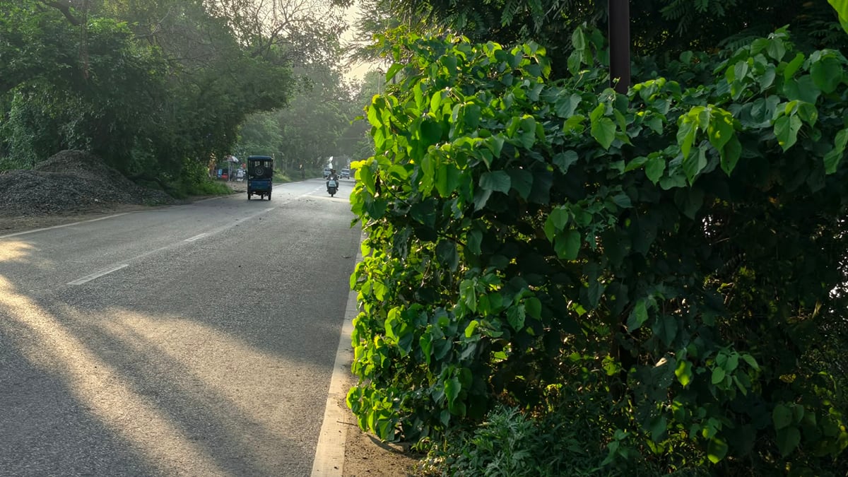Ballia News: अतिक्रमण, जलभराव और संकरी सड़कों ने नौ महीने में ले ली 180 लोगों की जान