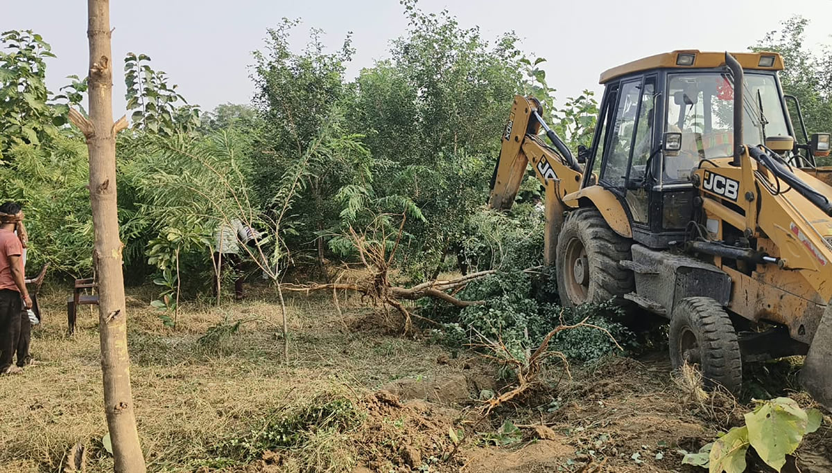 Hamirpur News: प्रतिमाओं के भू-विसर्जन के लिए बुलडोजर से नष्ट कर दिए पेड़
