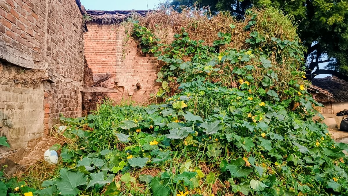 Banda News: घर में घुसे चोर, नकदी-जेवर चोरी
