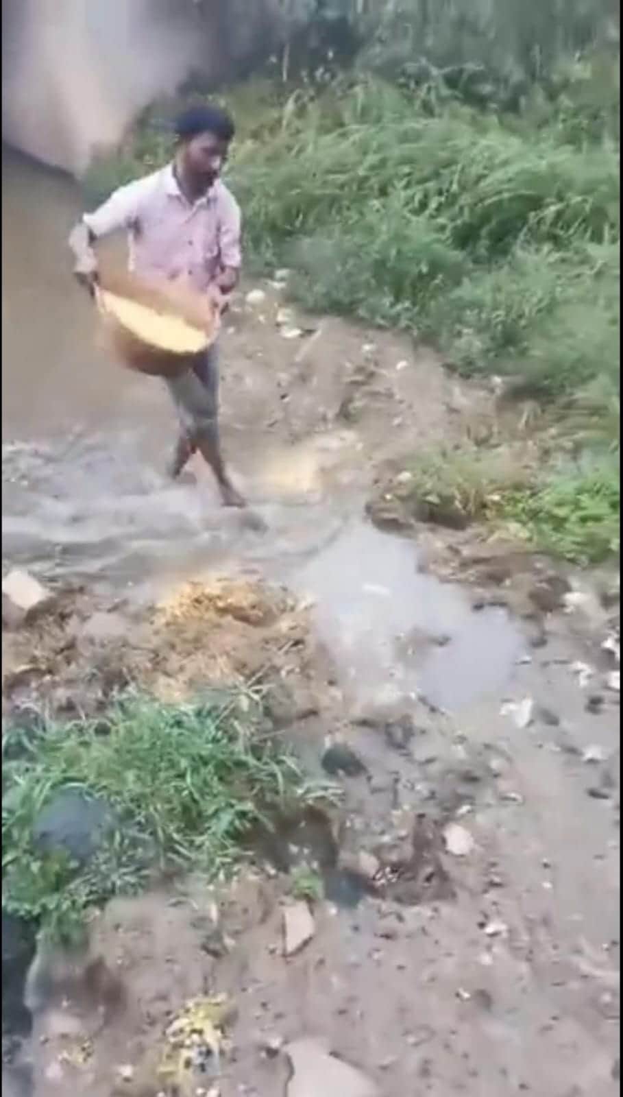 Bad weather dashes farmer's hopes, 70 quintals of maize washed away in drain
