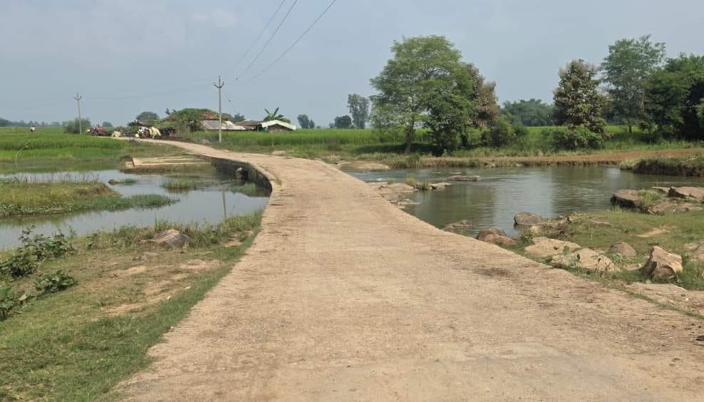 Small bridge to be built and road to be repaired at a cost of 98.28 lakh