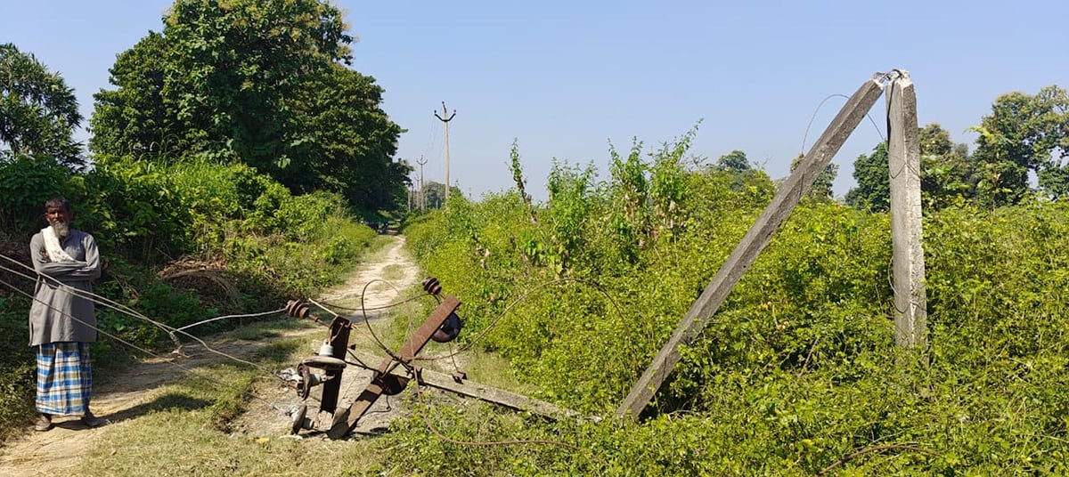 Bahraich News: हाथियों ने रौंदी आठ बीघा फसल, तोड़ा पोल