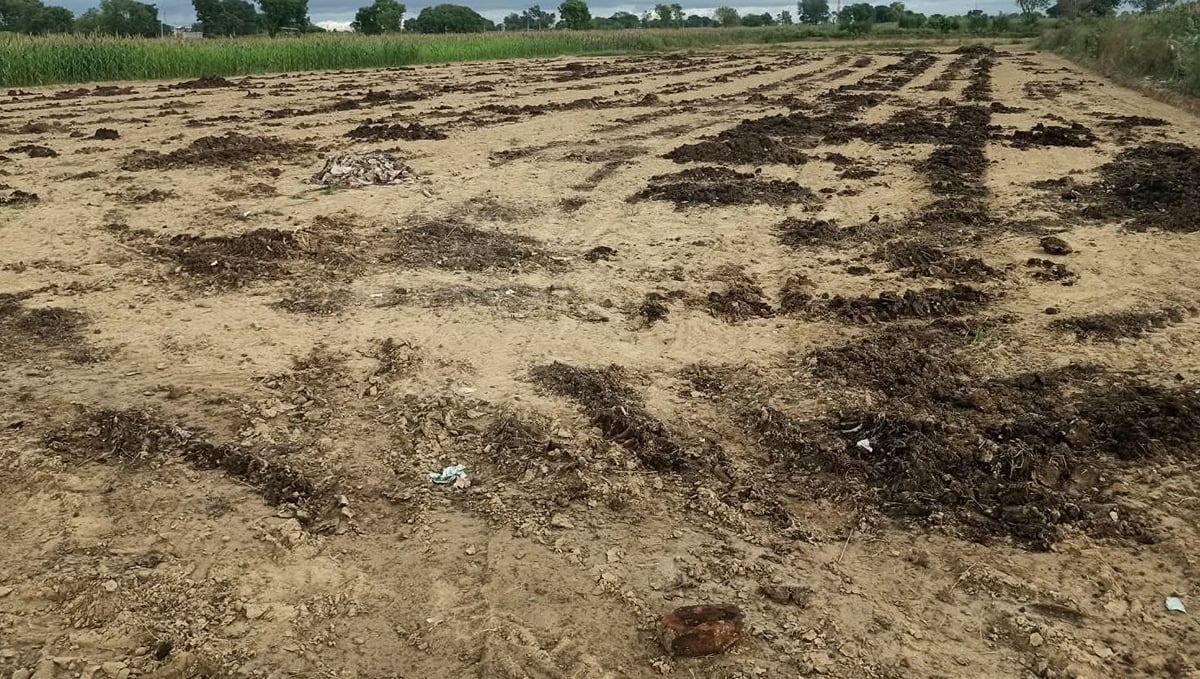 Kasganj News: मोहनपुरा में रबी फसलों की बुवाई तेज
