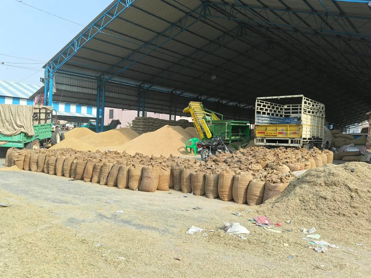 फतेहाबाद। पुरानी अनाज मंडी में  उठान के लिए तैयार धान की बोरियां। संवाद