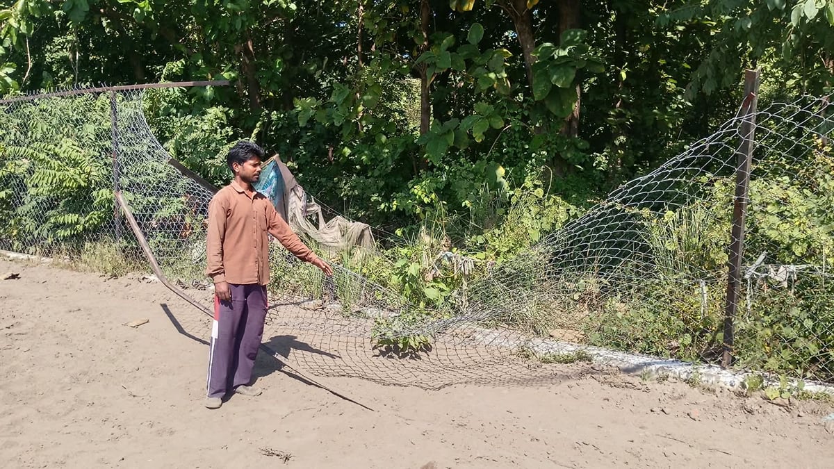 Pilibhit News: हाथियों की बढ़ी आवाजाही, आबादी क्षेत्र के किसान चिंतित