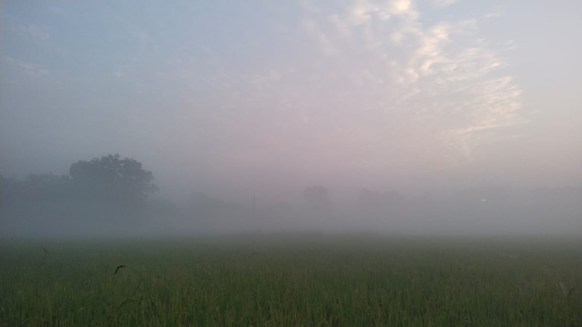 Jaunpur News: सिकरारा क्षेत्र में सुबह छाया रहा कोहरा