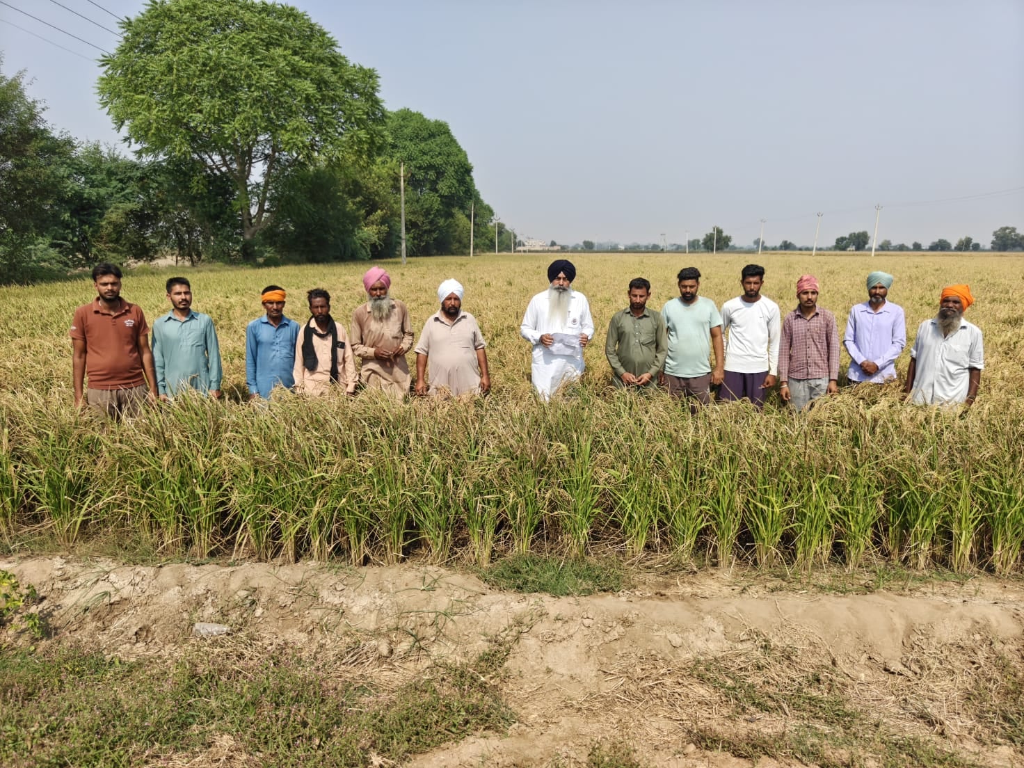सिरसा के बड़ागुढ़ा क्षेत्र के गांवों में खेतों में खड़ी फसलों का जायजा लेते बीकेई प्रदेशाध्यक्ष