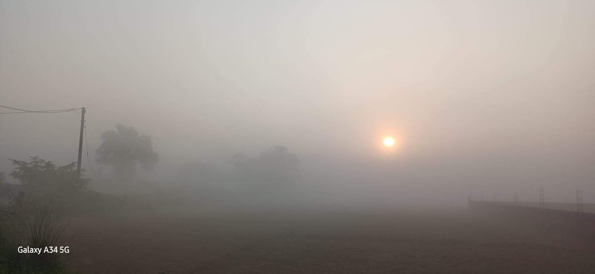Chandauli News: कोहरे के बीच निकले भास्कर, सड़कों पर थमी रफ्तार