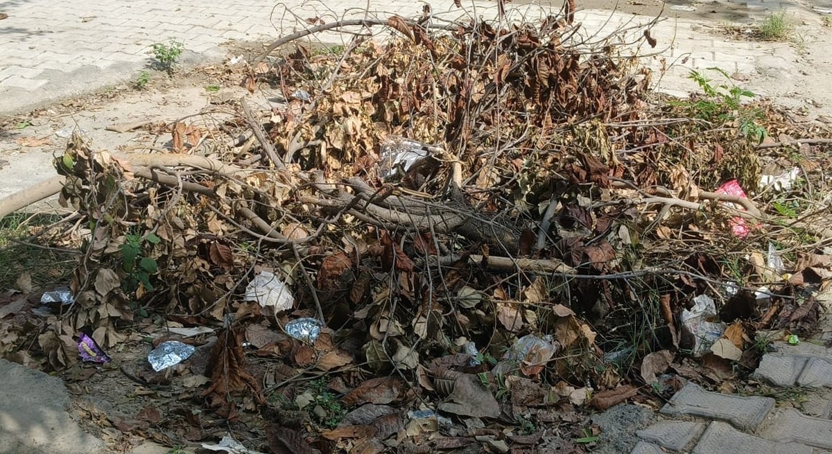 Noida News: स्कूल में खुला गड्ढा, 400 बच्चों पर खतरा