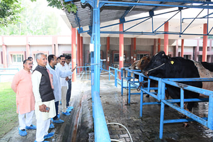 एनडीआरआई का निरीक्षण करते हरियाणा गौ सेवा आयोग के सदस्य संस्थान