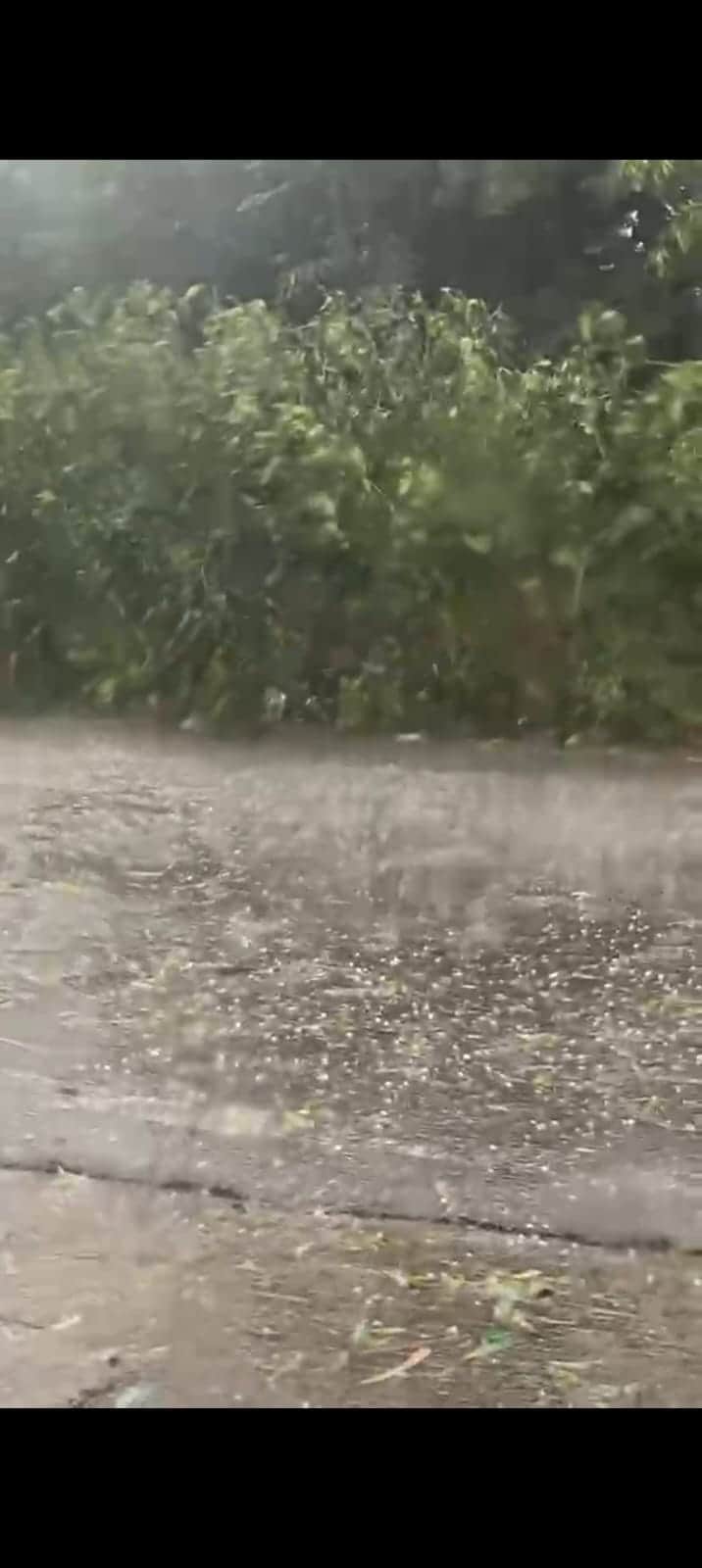 Rajasthan Weather: Rain and Hail Change Conditions, What to Expect in the Coming Days