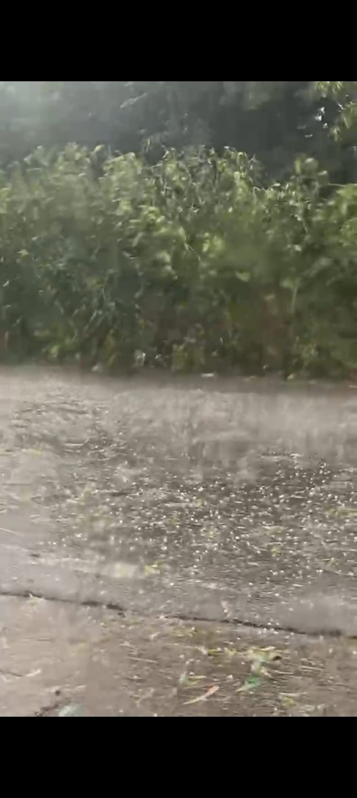 Rajasthan Weather: Rain and Hail Change Conditions, What to Expect in the Coming Days