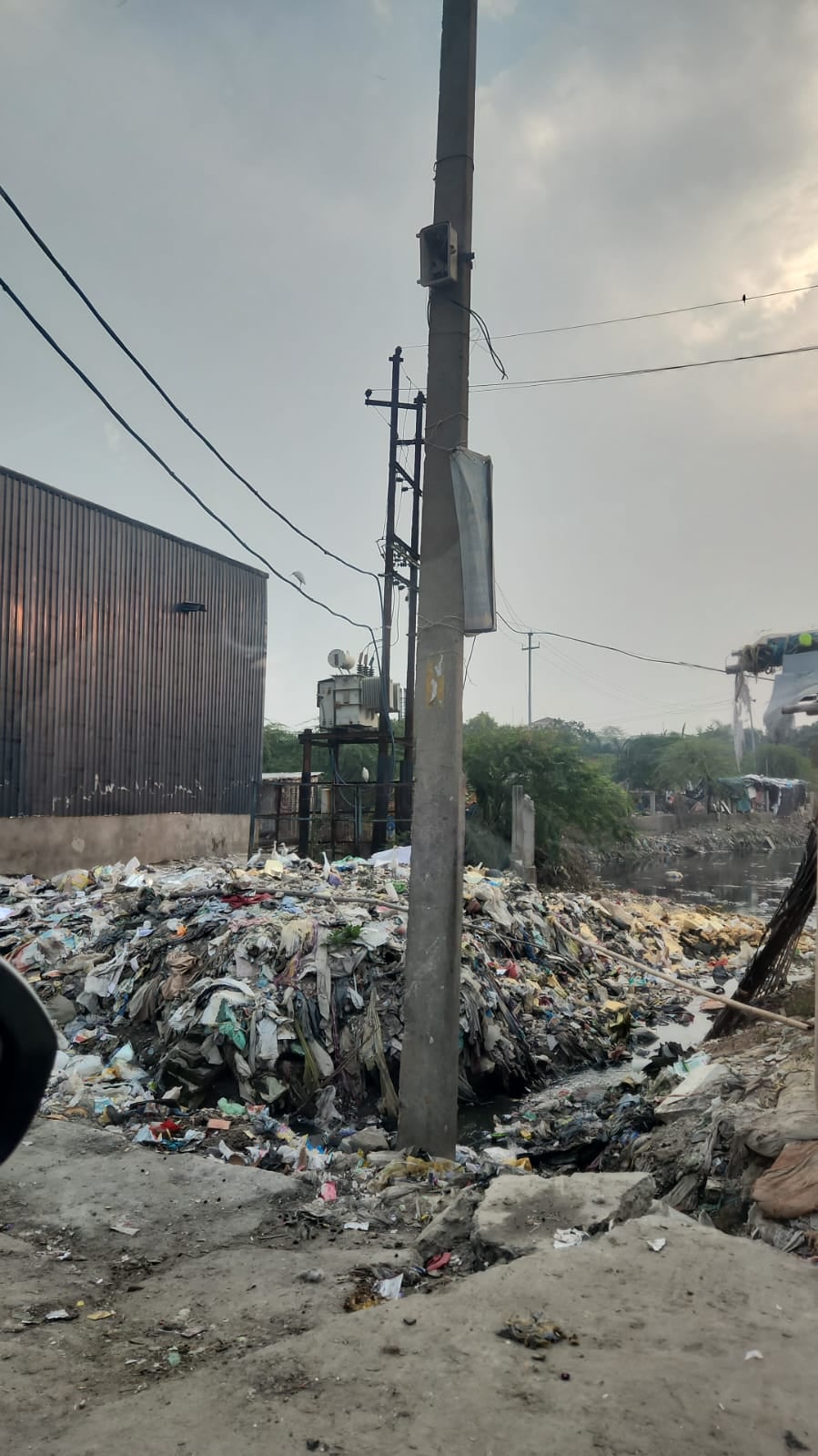 Noida News: पौधे लगाने व सफाई कराने की मांग