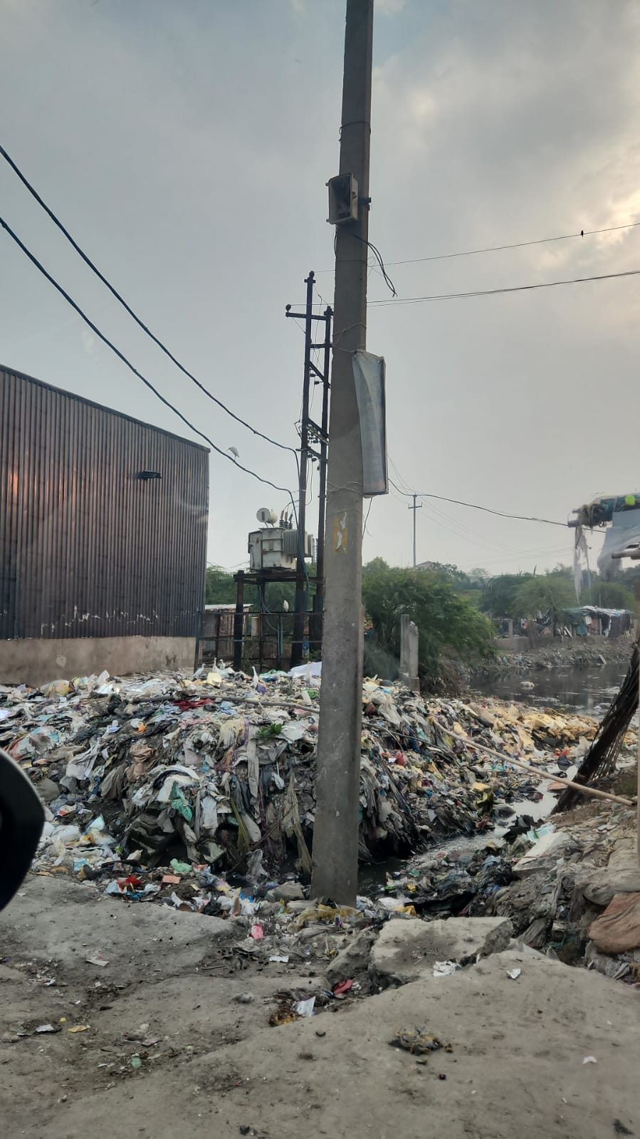 Demand for planting trees and carrying out cleaning work