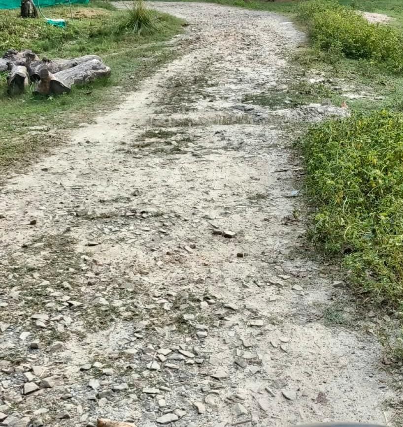 Prayagraj News: बीस साल से संपर्क मार्ग जर्जर, गड्ढों से परेशान ग्रामीण