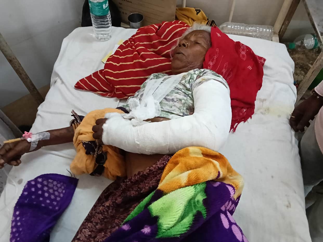Stray Dogs Attack Elderly Woman in Bundi, Multiple Injuries and Broken Arm