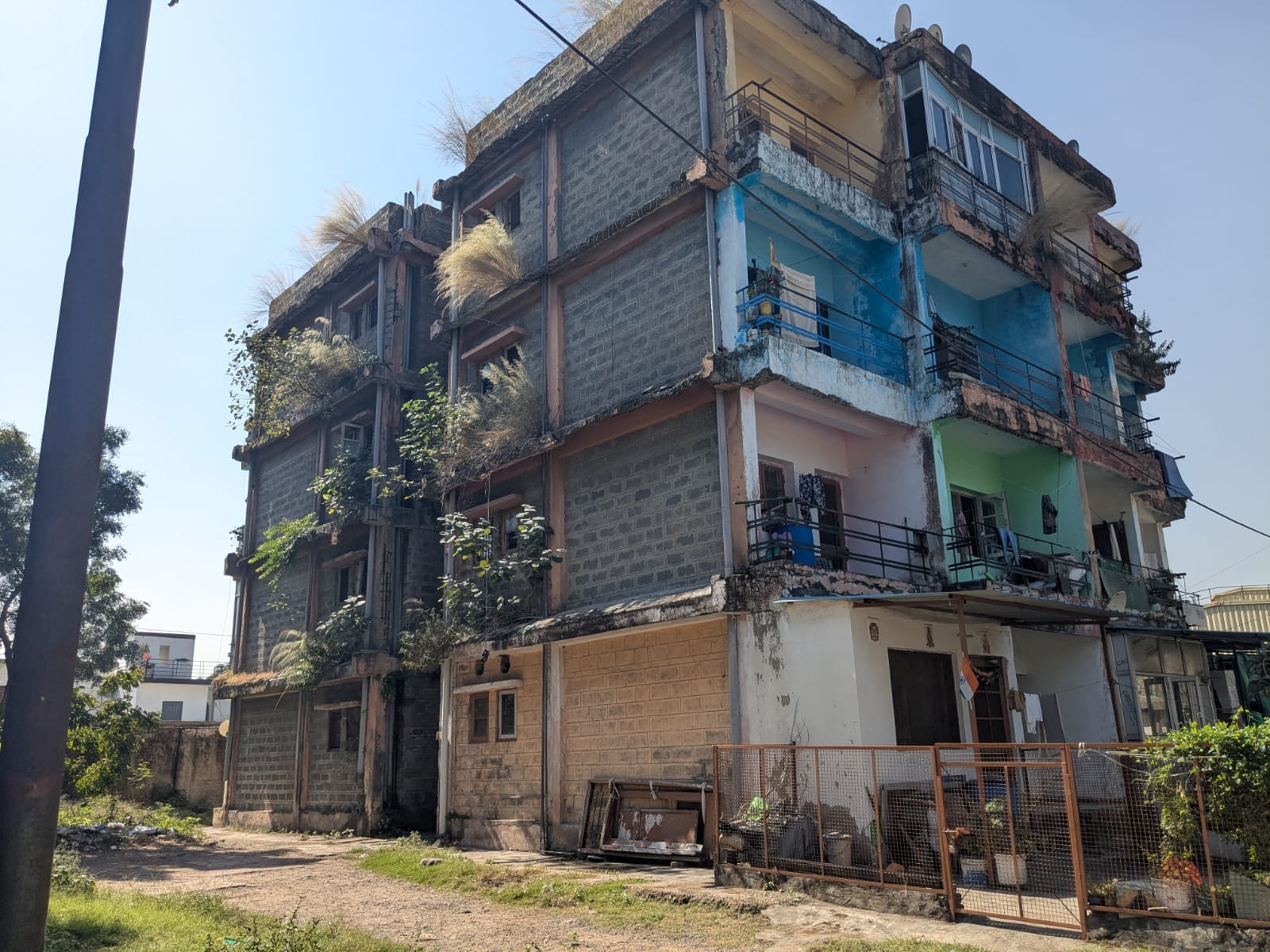 बद्दी के हिमुडा कालोनी के फेस चार में बिल्डिंग की दीवारों पर उगी घास- संवाद।