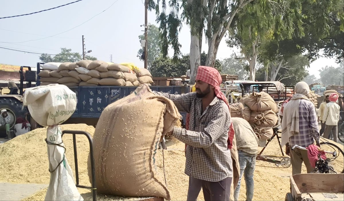 Hathras News: मंडी में बढ़ी धान की आवक, बढ़े दाम, मुस्कुराए किसान