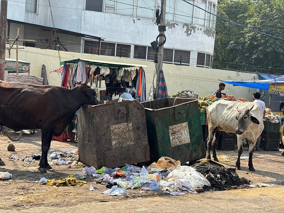 मेरी आवाज सुनो : कूड़े से राहगीर परेशान