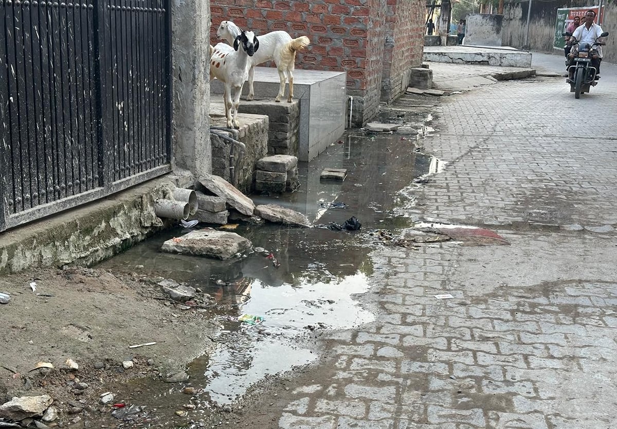 Bhadohi News: नाली जाम होने से सड़क पर बह रहा दूषित पानी