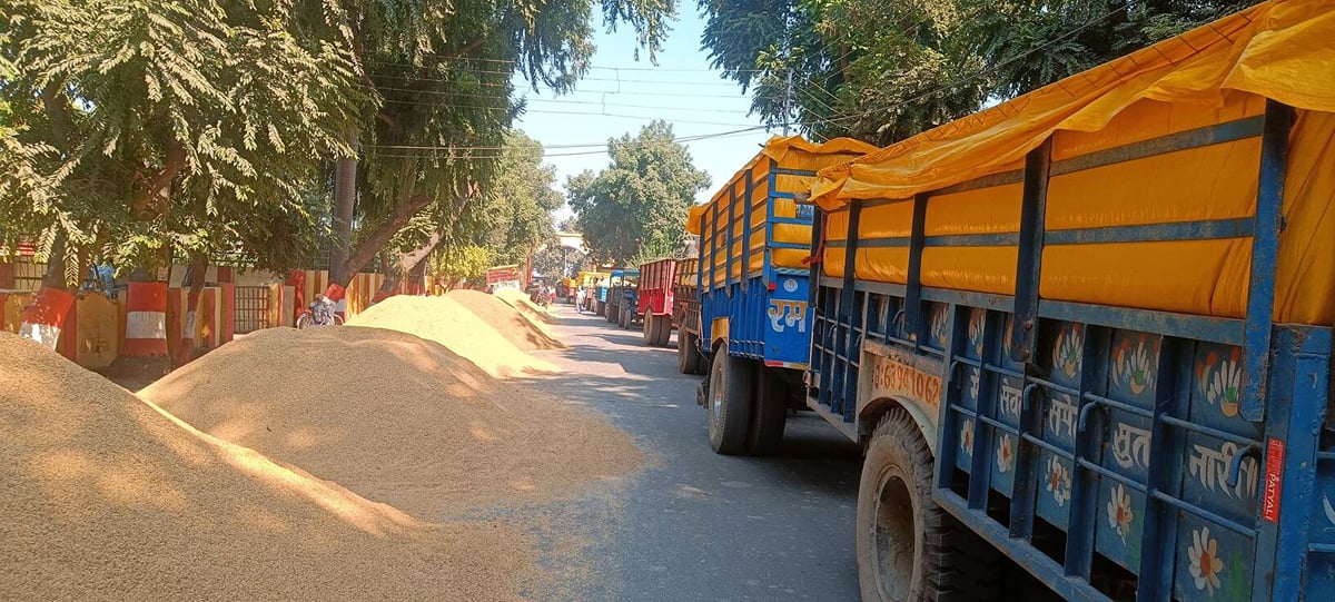 Pilibhit News: धान की आवक बढ़ने से रोजा मंडी में लगा जाम