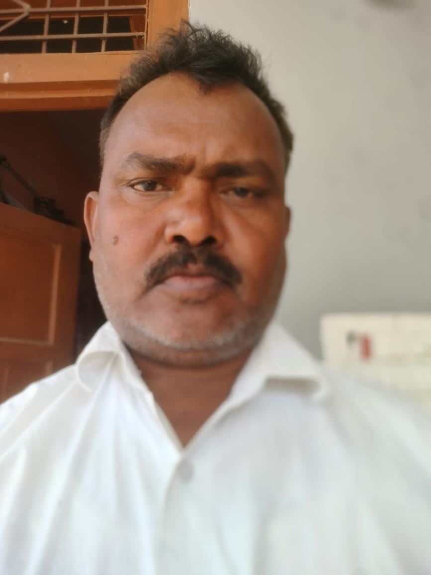 Kaushambi News: खेतों में सड़ रही उम्मीदें...मनमाने दाम पर बिक रहा सफेद कद्दू